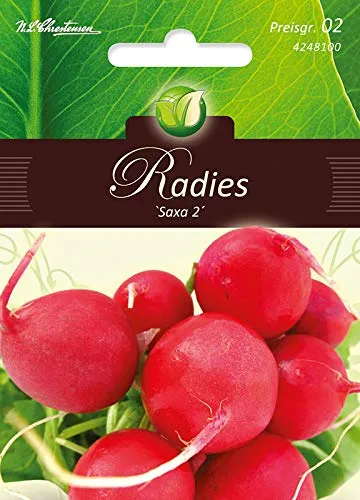 Radies, Saxa 2