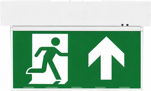 LED Notleuchte 5,5W mit Piktogrammen & Akku für Wand- und Deckenmontage - Zuverlässige LED Notleuchte mit 5,5W für Wand- und Deckenmontage, ausgestattet mit 4 wechselbaren Piktogrammen. Ideal für Notfallsituationen, schaltet bei Stromausfall automatisch in den Notbetrieb und bietet klare Orientierung.
