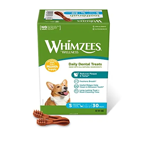 WHIMZEES Zahnbürste S, Monatspackung, 30 Stück – Größe S, Kaustangen für kleine Hunde zur Zahnpflege, Getreidefrei, Natürlich, ohne Zuckerzusatz