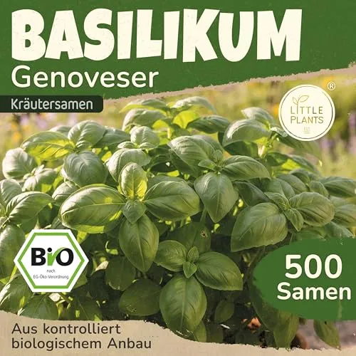 Little Plants BIO Basilikum Samen 500 Basilikumsamen Genoveser Kräutersamen Samenfest für Kräutergarten Kräuter Samen Küchenkräuter für Küche, Balkon und Garten