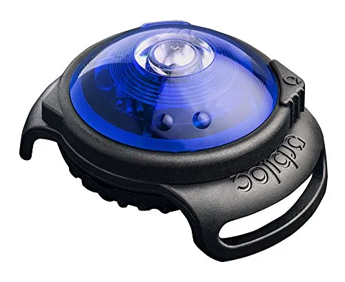 Orbiloc Dog Dual LED Licht - Sicherheit Leuchthalsband für Hunde - Halsbänder mit LED-Technologie in Türkis, sorgt für optimale Sichtbarkeit und Sicherheit bei Nachtspaziergängen.