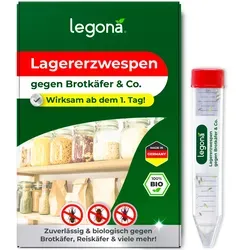 Lagererzwespen zur effektiven Bekämpfung von Brotkäfern, Reiskäfern & Tabakkäfern - Effektive Unterstützung bei der Schädlingsbekämpfung mit Lagererzwespen, ideal für die Bekämpfung von Schädlingen in Lebensmitteln. Ein natürlicher Ansatz für Ihre Vorräte.