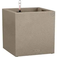 Lechuza Canto Stone Low 30 Pflanzkübel in sandbeige - Hochwertiger Kunststoff Pflanzkübel mit Wasserspeicher, frostfest und UV-beständig. Ideal für Innen- und Außenbereiche, überzeugt durch seine raue Naturstein-Optik und hohe Bruchfestigkeit.