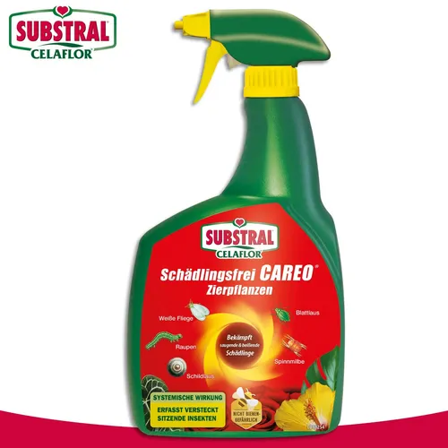 Substral Schädlingsfrei Careo Zierpflanzen - 800 ml Spray gegen Schädlinge, vollsystemische Wirkung für Rosen und Zierpflanzen mit Dauerwirkung bis zu 2 Wochen
