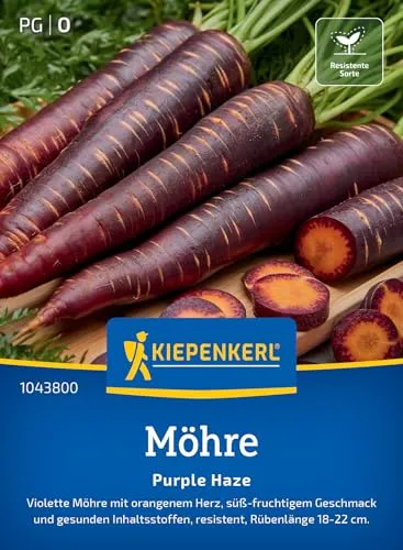 Kiepenkerl Möhrensamen Purple Haze 1043800 - Violette Rüben mit fruchtig-süßem Geschmack, Hochwertiges Saatgut, Exotische Karottensamen, Gemüse Pflanzen für 6-7 lfd. Meter