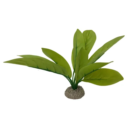 Aqua Della Dekoration Echinodorus 24 cm grün für Aquarium/Terrarium