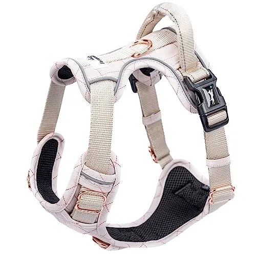 FREUDENTIER Hundegeschirr mit Griff - Atmungsaktiv & Sicher für Hunde - Brustgeschirr für Hunde mit perfektem Sitz für kleine und große Rassen. Wasserabweisend, ergonomisch und mit Anti-Zieh-Funktion für entspanntes Führen – ideal für aktive Hunde.