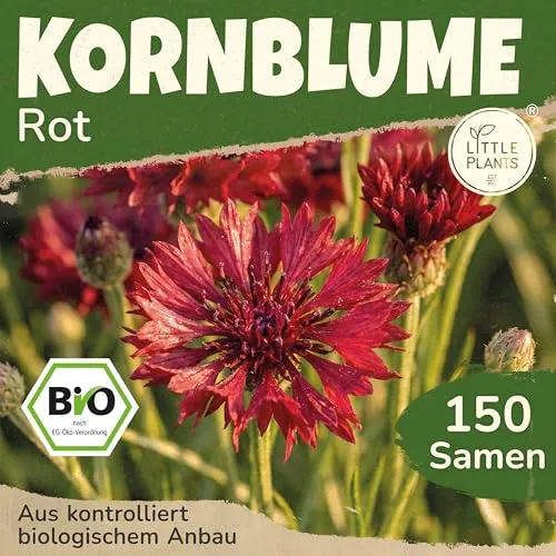 Little Plants BIO Kornblume Samen 150 Kornblumen Rot Blumensamen Samenfest für Blumengarten Blumen Samen für Balkon, Hochbeet und Garten