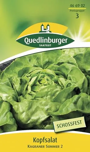 Quedlinburger Kopfsalat 'Kagraner Sommer 2', 1 Tüte Samen