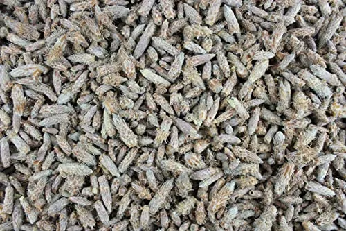 1000Kräuter Kiefernsprossen ganz Kiefernknospen Kräutertee Tee (200g)