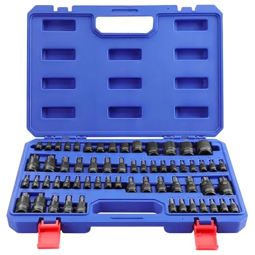 WORKPRO 60-teiliger Torx-Bit- und Externe Torx-Einsatzsatz, S2 Bit Satz, 1/4", 3/8", 1/2" Antrieb, T6-T70, TT6-TT70, TP8-TP60, E4-E24, mit Aufbewahrungsbox
