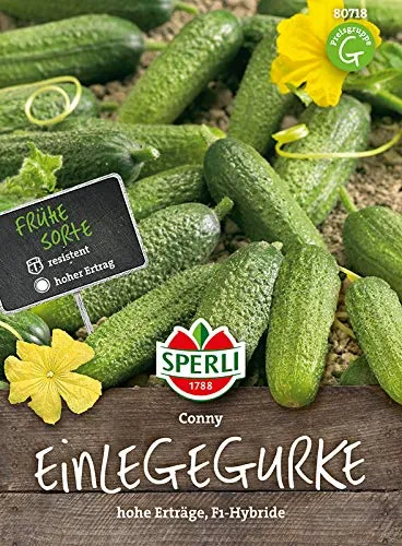 Einlegegurkensamen Conny F1 - Hochwertiges Saatgut für Ertragreiche Ernten - Die Einlegegurke 'Conny' F1-Hybride überzeugt mit hohen Erträgen und Robustheit. Ideal für Freilandanbau, reicht für etwa 20 Pflanzen. Genießen Sie frische Gurken von Juli bis September!