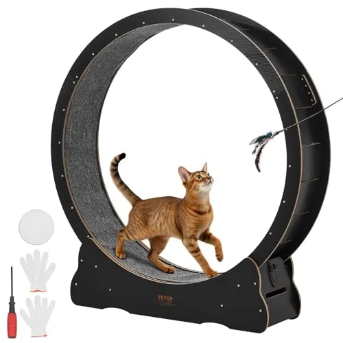 VEVOR Katzenlaufrad aus Holz, 118 cm Innendurchmesser - Das VEVOR Katzenlaufrad aus Holz ist ideal für Katzen bis 13,6 kg. Mit Teppichlauffläche und verriegelbarem Mechanismus bietet es leises und sicheres Spielvergnügen für Wohnungskatzen. Hochwertige Verarbeitung garantiert Langlebigkeit.