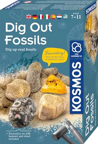 MBE Dig Out Fossils INT - Experimentierkasten mit echten Fossilien, inkl. Hammer und Meißel für spannende Ausgrabungen ab 7 Jahren