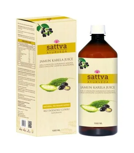 Sattva Ayurveda Amla-Saft, 1000 ml
