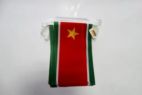 Guirlande 6 mètres 20 Drapeaux Guadeloupe indépendant 21x15 cm - Drapeau guadelo