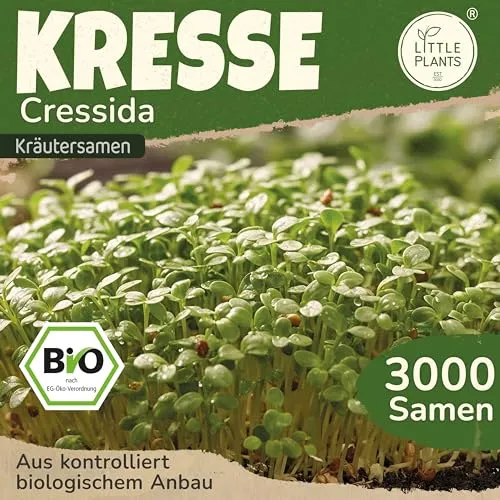 Little Plants BIO Kresse Samen 3000 Kressesamen Cressida Kräutersamen für Kräutergarten Hochbeet Samenfest Kräuter Samen für Küche, Balkon und Garten Küchenkräuter