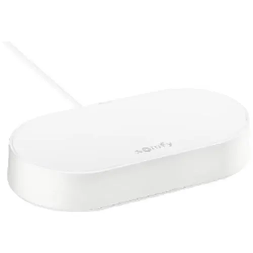 Somfy 1870755 - Connectivity Kit für smarte Steuerung, kompatibel mit io RTS Motoren, Sprachsteuerung über Google Assistant und Amazon Alexa