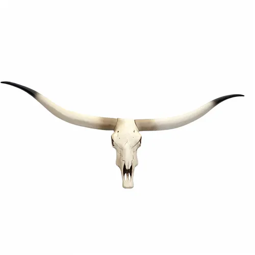 Deko Kuhschädel HWC-D32, Stierkopf Bulle Longhorn Trophäe - Sonstige Wanddekoration, detailgetreu und witterungsbeständig, ideal für Western-Fans und als beeindruckendes Wohnaccessoire