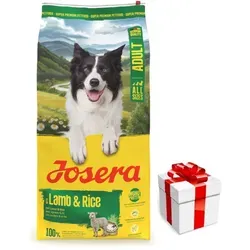 JOSERA Lamb & Rice 12,5kg - Hochwertiges Hundefutter - Hundefutter mit Lamm und Reis, ideal für empfindliche Hunde und glutenfrei, plus eine Überraschung für deinen Vierbeiner!