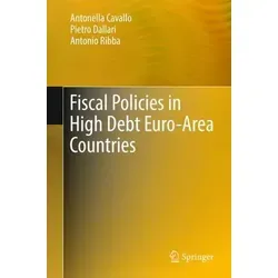 Fiscal Policies in High Debt Euro-Area Countries - Analytische Betrachtung der fiskalischen Maßnahmen in hochverschuldeten Euro-Ländern, ideal für Wirtschaftsinteressierte und Studierende der Finanzpolitik.