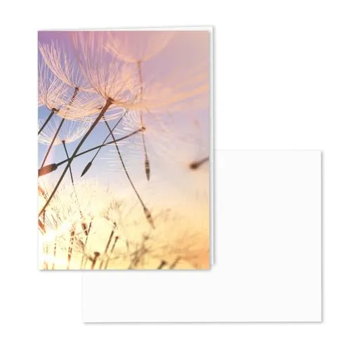 younikat Würdevolle Trauerkarte mit Umschlag I DIN A6 I Natur-Papier I Matt I Beileidskarte Kondolenzkarte mit Natur-Motiv I hochwertig, modern I neutral dv503