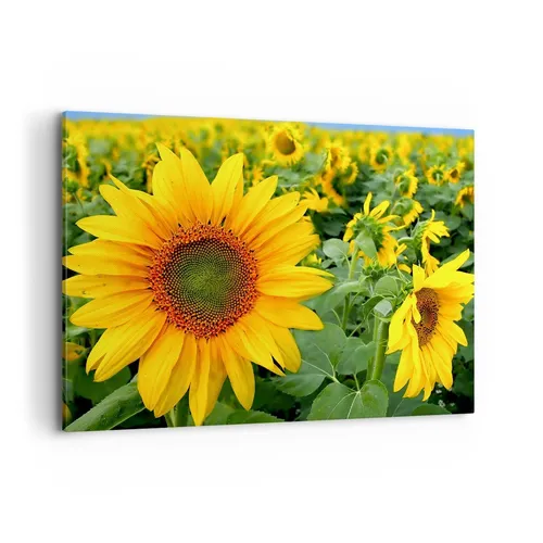 Wandbilder 100x70cm Leinwandbild Wolken Sonnenblumen Plantagen Bilder Wanddeko