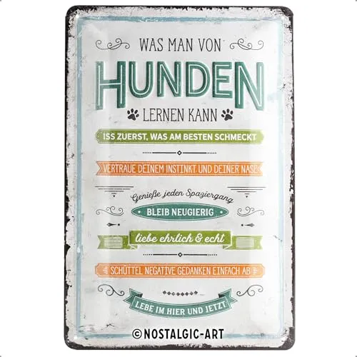 Nostalgic-Art 22274 Retro Blechschild PfotenSchild Lernen – Geschenk-Idee für Hunde-Besitzer, aus Metall, Vintage-Dekoration, 20 x 30 cm