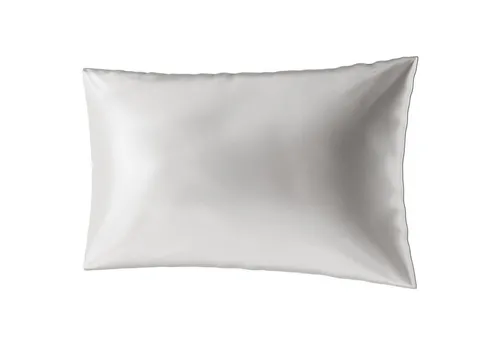 AILORIA Kissenbezüge BEAUTY SLEEP aus Seide (100x65) - Luxuriöser Kissenbezug aus 100% Maulbeerseide, ideal für gesunden Schlaf und Haarpflege, schützt vor Haarbruch und Spliss. Größe: 65x100 cm.