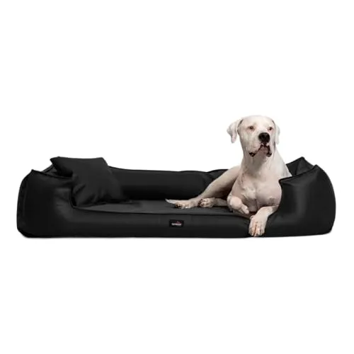 tierlando® Goofy Easy CLEAN – Orthopädisches Hundebett für große Hunde - Hundebett aus Kunstleder mit abnehmbarem Matratzenschoner, gelenkschonend für optimalen Komfort und leicht zu reinigen – ideal für ein sauberes und entspanntes Liegegefühl.