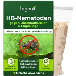 HB-Nematoden gegen Dickmaulrüssler und Engerlinge - Biologische Schädlingsbekämpfung mit HB-Nematoden. Effektiv gegen Dickmaulrüssler und Engerlinge. Schnelle Wirkung innerhalb von 2 Wochen, einfache Anwendung und sofortige Ausbringung möglich.