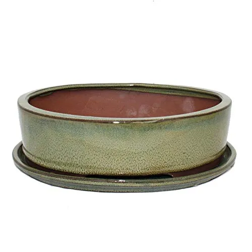Exotenherz Bonsai-Schale oval mit Unterteller - Oliv-Braun - 25x20cm - Elegante, glasiert Bonsai-Schale mit Untersetzer in oliv-braun. Ideal für Zimmerbonsai, mit praktischen Entwässerungslöchern. Größe: 25cm x 20cm x 7,5cm, gefertigt in der traditionsreichen Töpfer-Stadt Yixing.