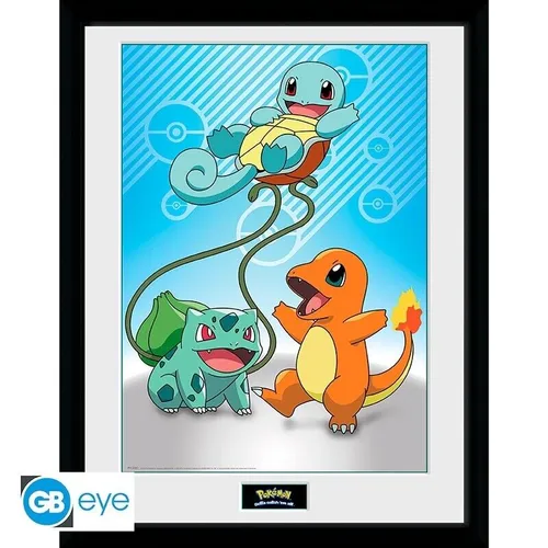 Pokémon - Kanto Starter - 30x40 Rahmenbild