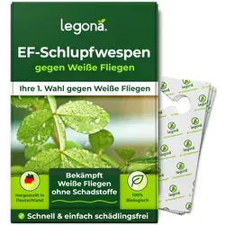 Legona® EF-Schlupfwespen gegen Weiße Fliegen | 10 Karten für 100 m² - Fliegenabwehr: Biologische und hochwirksame Bekämpfung von Weißen Fliegen ohne Giftstoffe – ideal für gesunde Ernten im Biogarten!