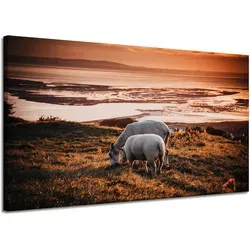 Leinwanddruck Tiere grasen Schafe 120x70 - Hochwertiger Leinwanddruck mit einem idyllischen Schafmotiv, ideal für eine gemütliche Raumgestaltung. Bringen Sie Naturflair in Ihr Zuhause!