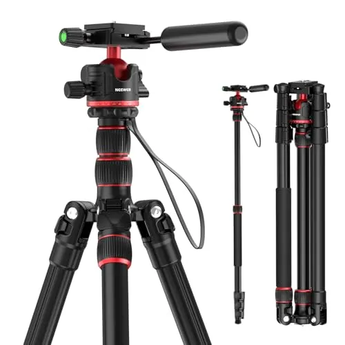 NEEWER BASICS Kamerastativ Einbeinstativ, 77" kompaktes, leichtes Reise DSLR Videostativ, 360°Kugelkopf Arca Typ Schnellwechselplatte umkehrbare Beine und umgekehrte Mittelachse, max. Last 13 lb, TP08