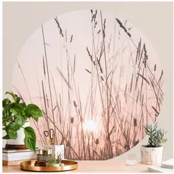 Bilderdepot24 Fototapete rund Blumen Sommerabend Floral Natur Kunst Gräser Wiese, Glatt, Matt, (Vliestapete selbstklebend), Wohnzimmer Schlafzimmer Küche Wandtattoo Motivtapete Klebe Wandtapete beige 150 m x 150 m