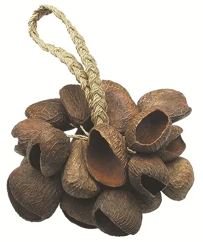 TOCA TO804444 Seed Shell Shaker