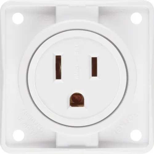 Berker Steckdose m. SK USA/CAN 862632502 Abdeckung Stecker Steckdosen Elektrik