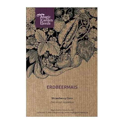 Erdbeermais (Zea mays japonica)