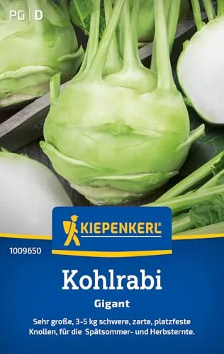 Kiepenkerl Kohlrabisamen Gigant 1009650 - Riesengroße, zarte Knollen - Inhalt für 150 Pflanzen - Gemüsesamen, Samen Gemüse, Saatgut, Gemüsepflanzen