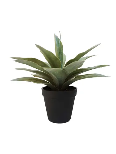 Kunstpflanze Künstliche Sukkulente Agave Desiree - 20cm - Dekorative Kunstpflanze in lebendigem Grün, ideal für den Innenbereich. Pflegeleicht und langlebig, bringt sie frischen Flair in jedes Zuhause.