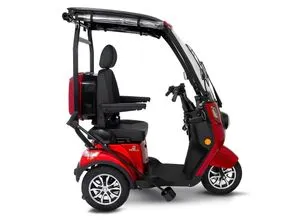Deisla Dreirad DS3-25 - E-Trike für Senioren, 1000 Watt Motor, integriertes Dach mit Wetterschutz und Bluetooth Lautsprechern