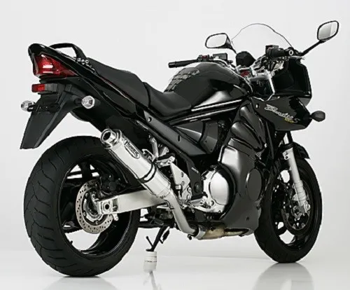 HURRIC Supersport Auspuff für SUZUKI GSF 1200 Bandit S 1996-2003 - Schalldämpfer & Endtöpfe mit 100% Passgenauigkeit, EU-zugelassen und einfach zu montieren. Perfekt für Straßenmotorräder und bietet ein sportliches Design.