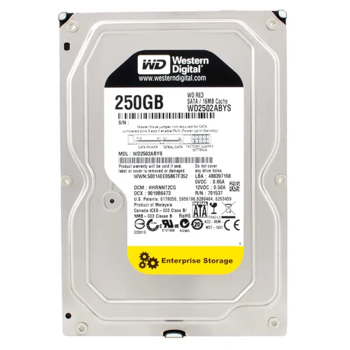 Western Digital RE3 250GB Festplatte - Interne 3,5" HDD mit 7200 U/min und 16MB Cache, ideal für Desktop-PCs und Mac, bietet niedrigen Geräuschpegel für einen leisen Betrieb.