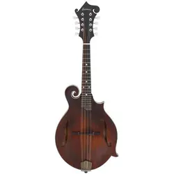 Eastman MD315 - Bluegrass Mandoline - Sonstige Zupfinstrumente mit vollmassiver Konstruktion und herausragendem Klang, ideal für Bluegrass-Ensembles und Musiker, die Wert auf Handwerkskunst und Ästhetik legen.