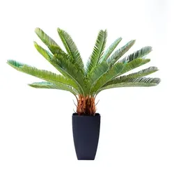 KARE DESIGN Kunstpflanze Cycas Tree 61200 Kunststoff Grün