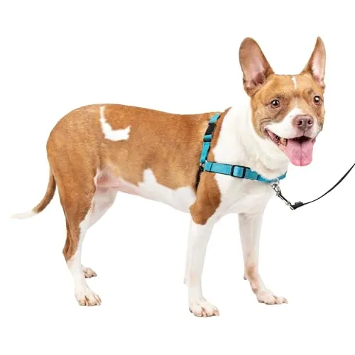 PetSafe Easy Walk Deluxe Geschirr, Gehgeschirr ohne Zug für Hunde, gepolstertes Design, inkl. 1,8 m Leine, mittelozeanblau/schwarz