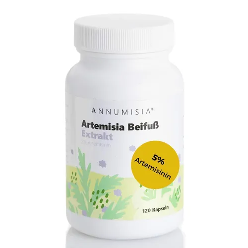Artemisia Beifuß Extrakt Kapseln 5% Artemisinin - Nahrungsergänzungsmittel mit 400 mg hochkonzentriertem Beifuß-Extrakt pro Kapsel, reich an 5% Artemisinin. Gluten- und zuckerfrei, ideal für natürliche Gesundheit. 120 Kapseln für 4 Monate.