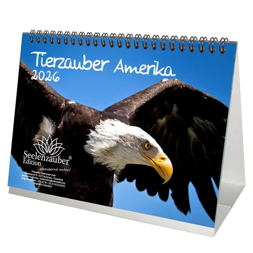 Tierzauber Amerika DIN A5 Tischkalender für 2026 Tiere Wald Natur Baum - Seelenz